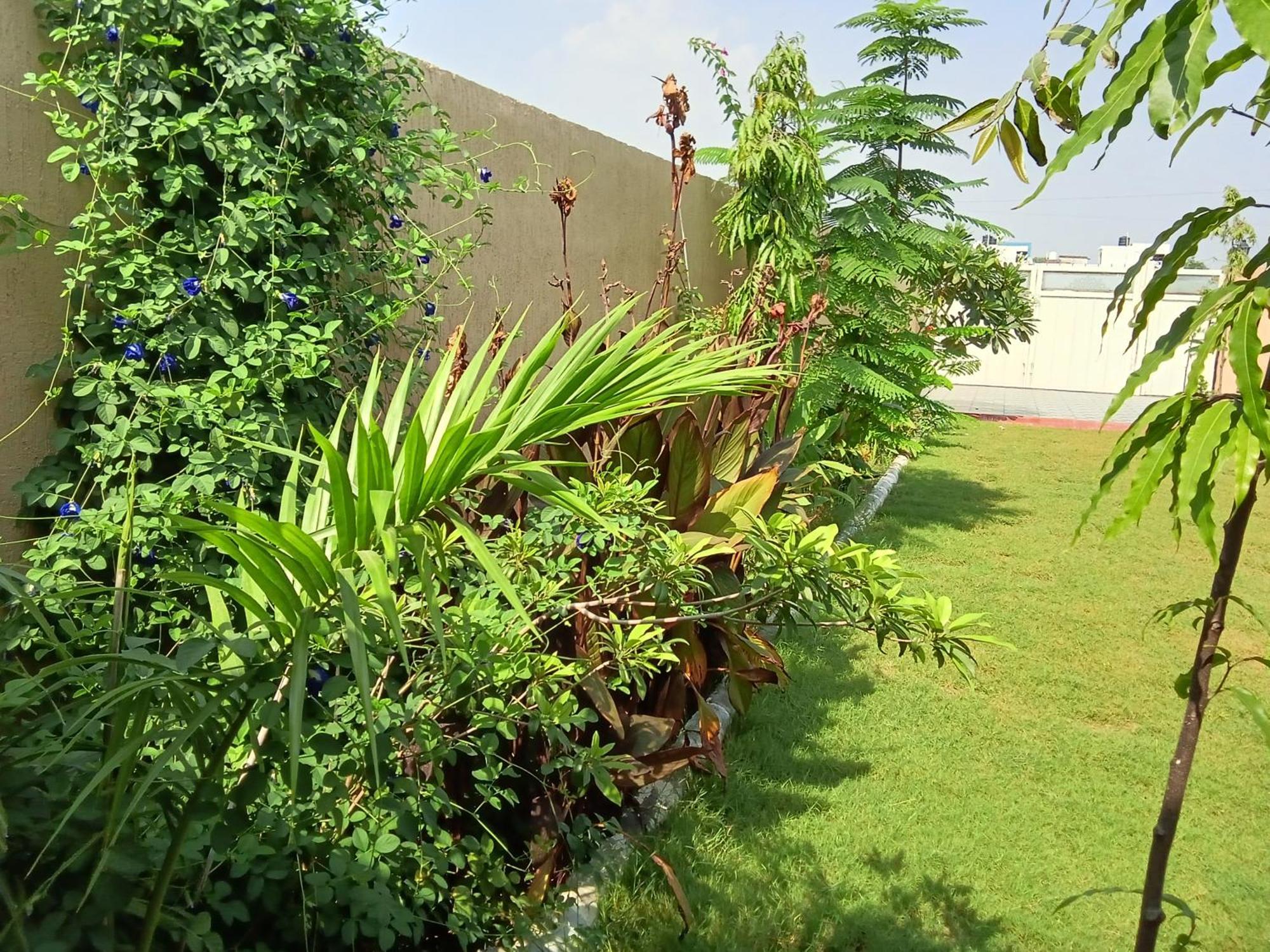 Suvarna Farm'S Wātka Exterior foto